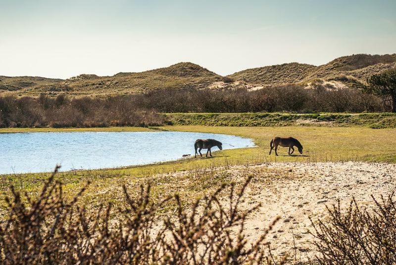 Het Hoekhuisje Egmond aan Zee Kültér fotó